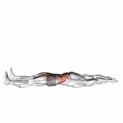 V-up exercise targeting Iliopsoas and Rectus Abdominis
