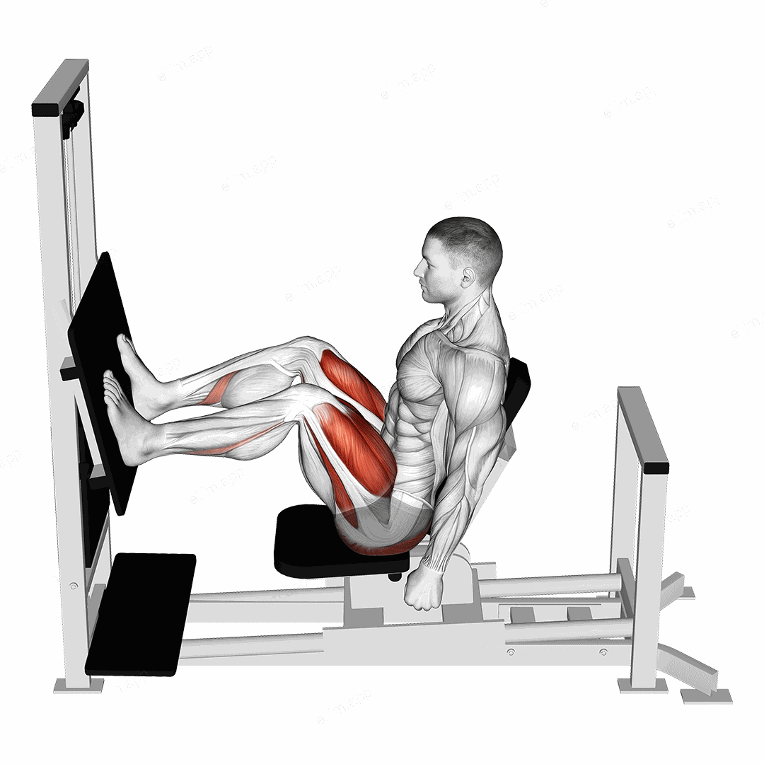 Lever Horizontal Leg Press exercise targeting Thighs