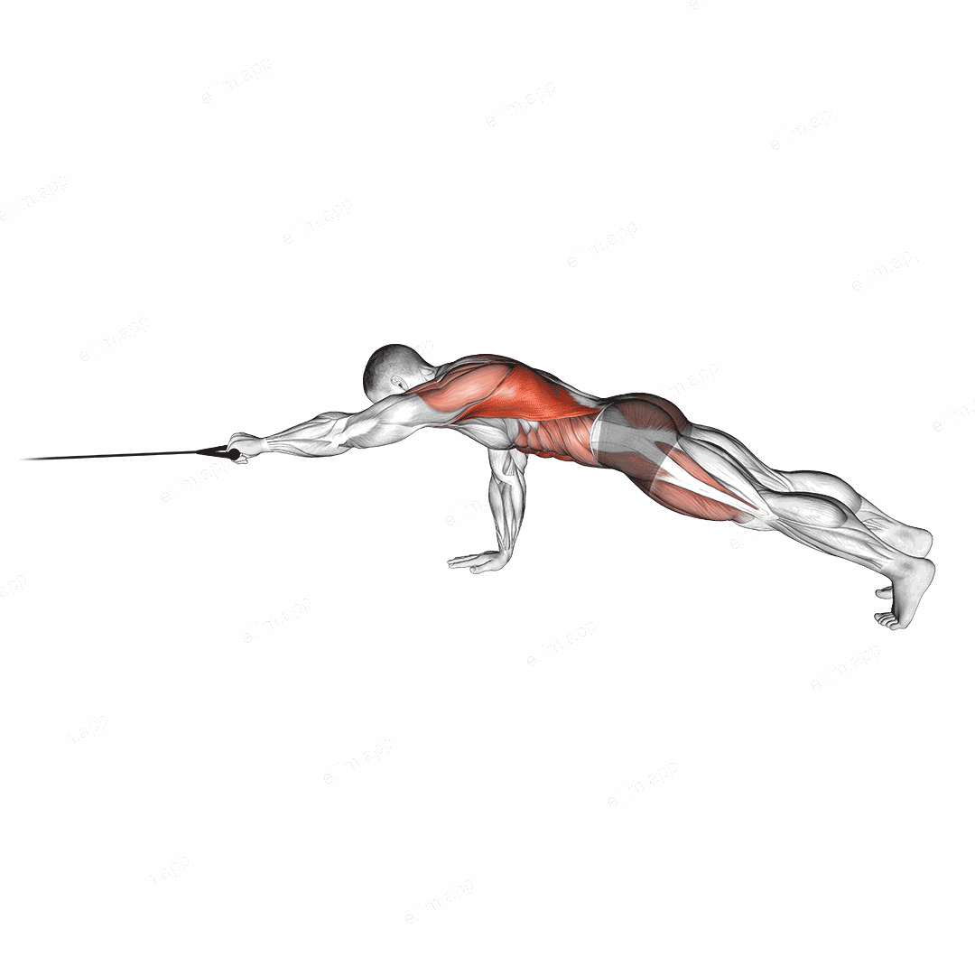 Band Front Plank with Single Arm Pulldown exercise targeting Back and Waist