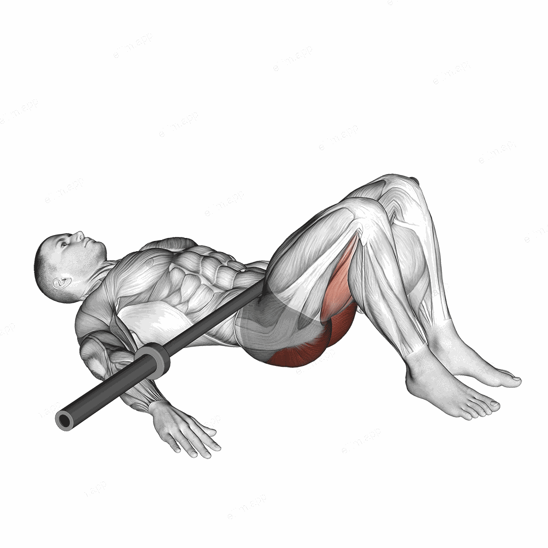 Barbell Glute Bridge exercise targeting Hips and Gluteus Maximus