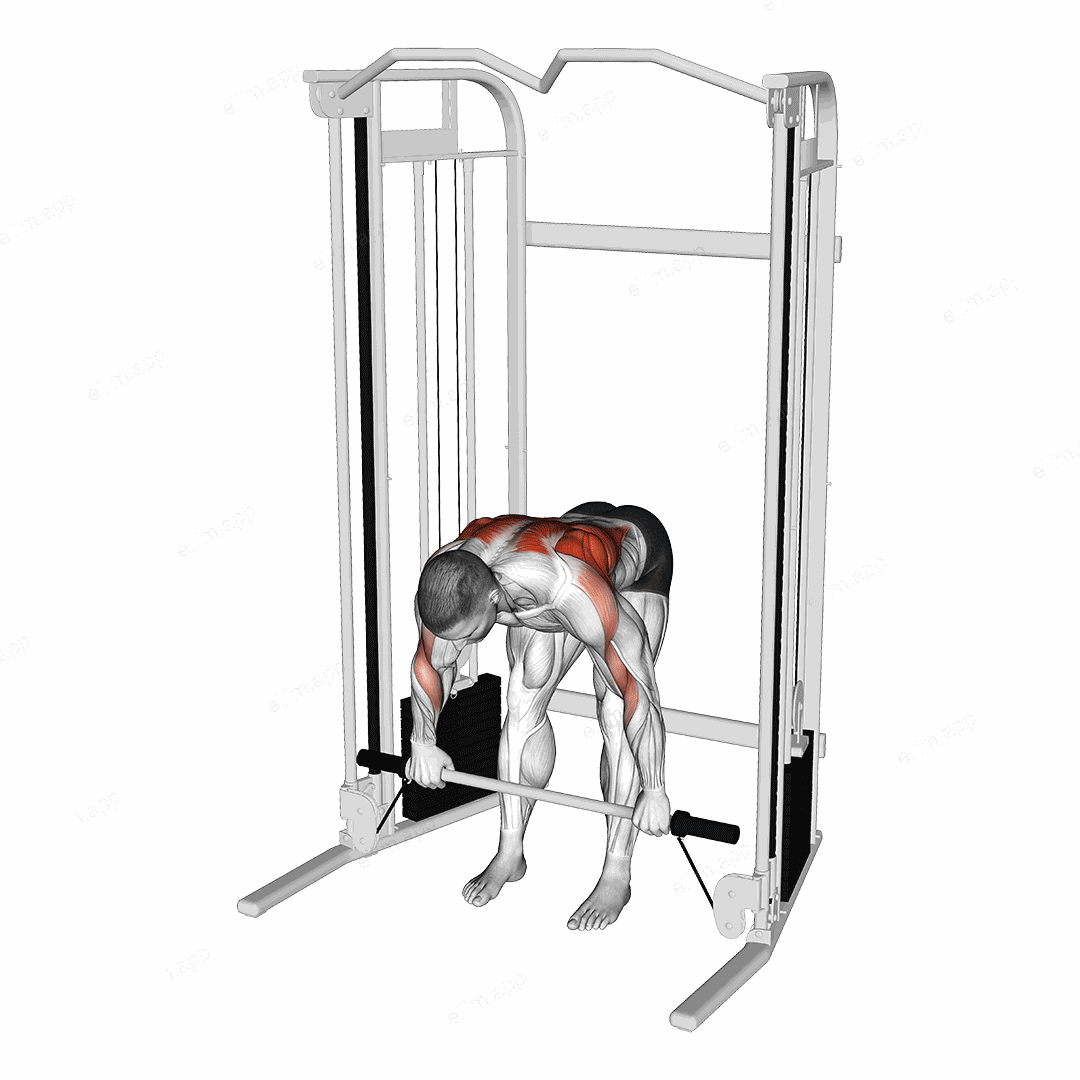 Cable Bent Over Row with Bar exercise targeting Back and Infraspinatus