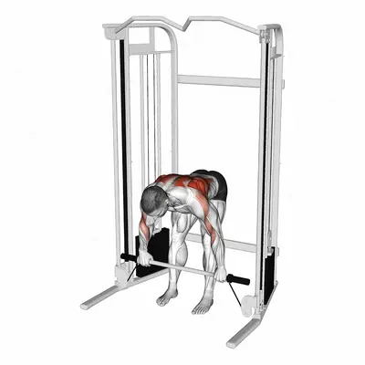 Cable Bent Over Row with Bar exercise targeting Back and Infraspinatus
