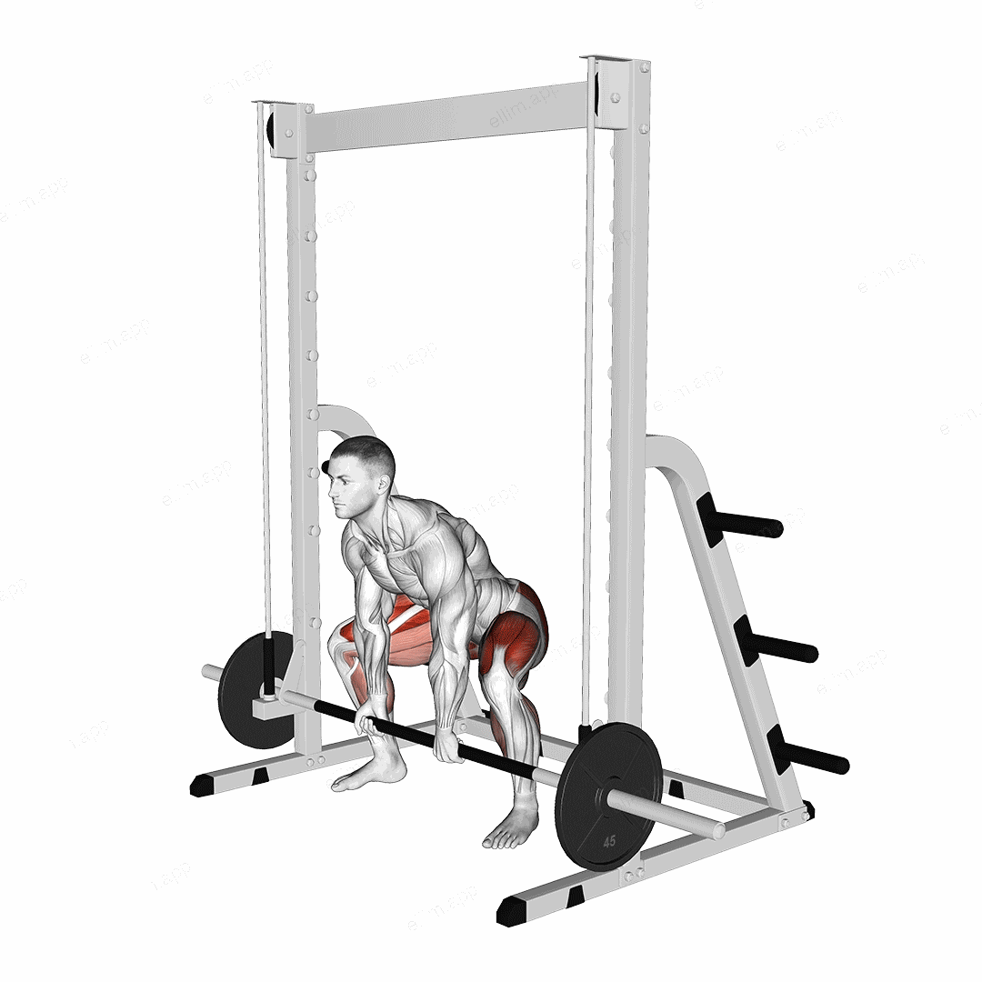 Smith Sumo Deadlift exercise targeting Hips