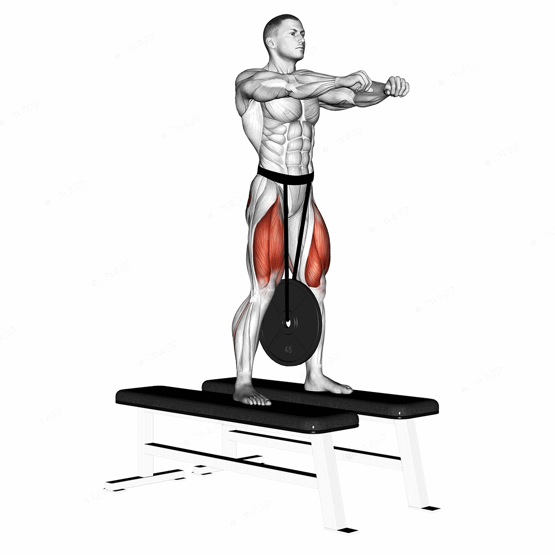 Weighted Squat exercise targeting Thighs and Gluteus Maximus
