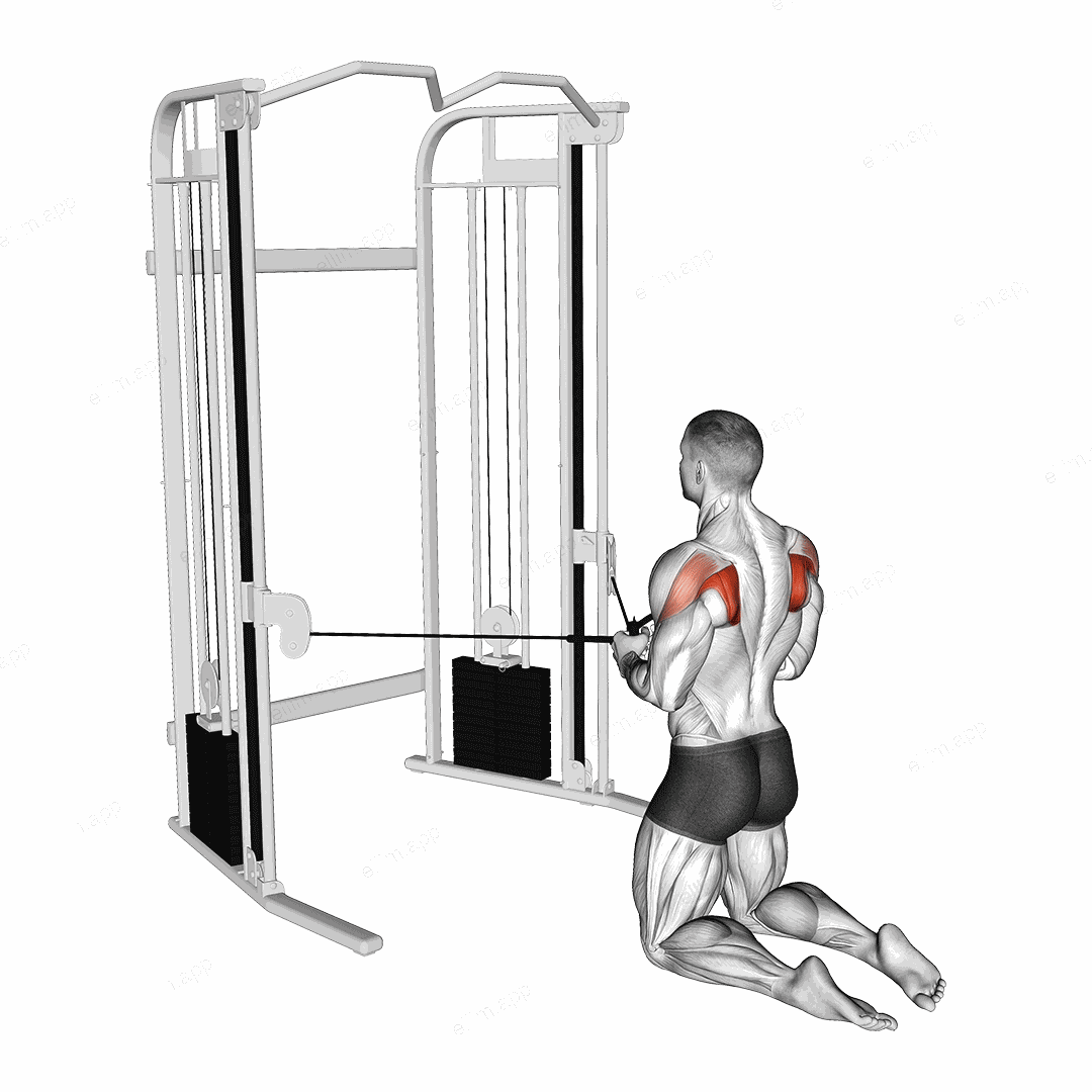 Cable Kneeling Shoulder External Rotation exercise targeting Back