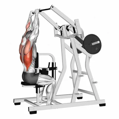 Lever Lateral Pulldown (plate loaded) exercise targeting Back and Latissimus Dorsi