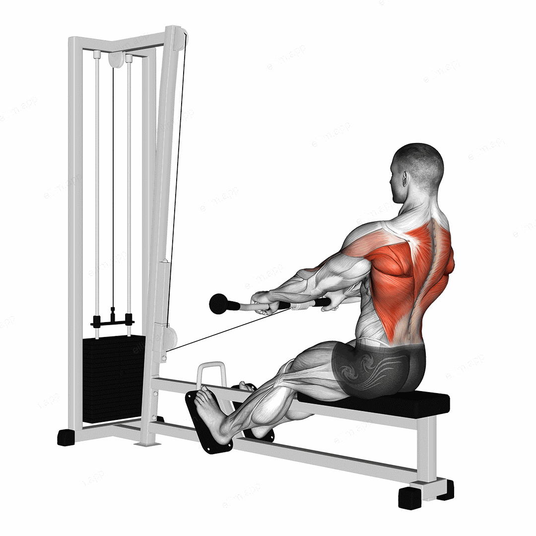 Cable Low Seated Row exercise targeting Back and Infraspinatus