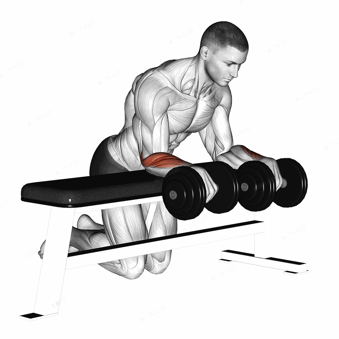 Dumbbell Over Bench Wrist Curl exercise targeting Forearms and Wrist Extensors