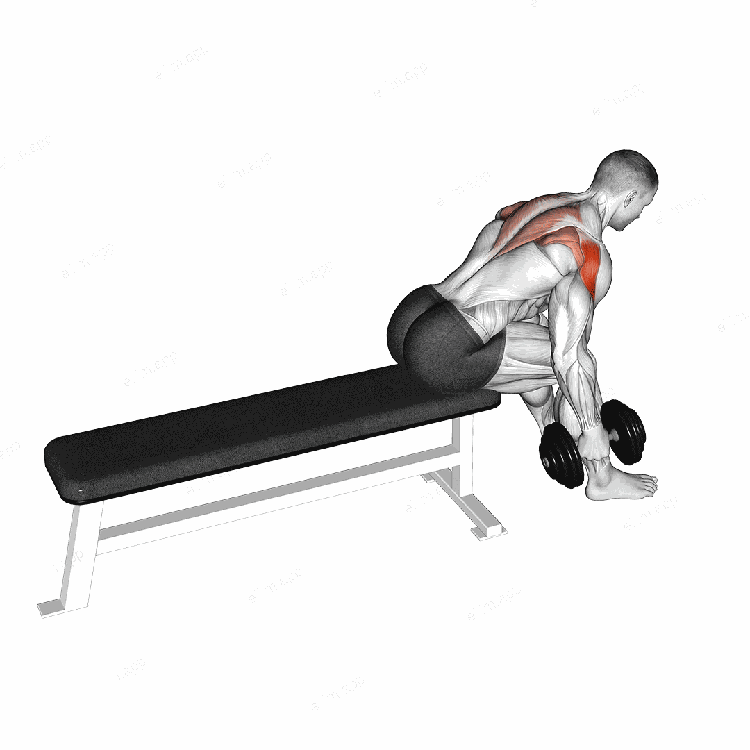 Dumbbell Seated Bent Over Alternate Rear Delt Fly exercise targeting Shoulders