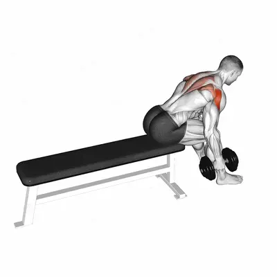 Dumbbell Seated Bent Over Alternate Rear Delt Fly exercise targeting Shoulders