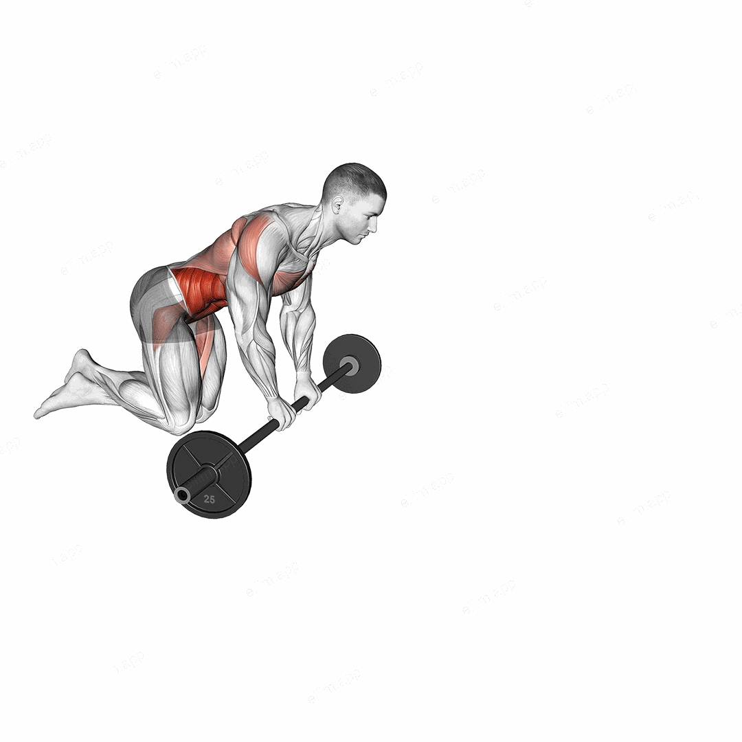 Barbell Rollout exercise targeting Hips and Iliopsoas