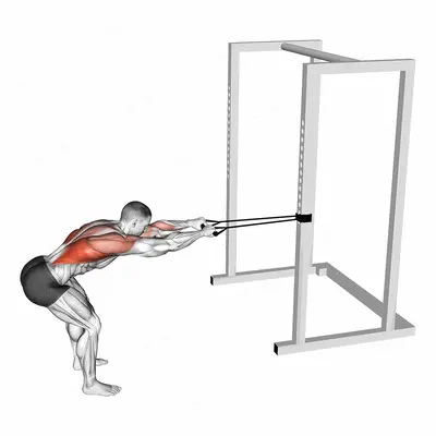 Band Bent Over Lat Pulldown exercise targeting Back and Latissimus Dorsi