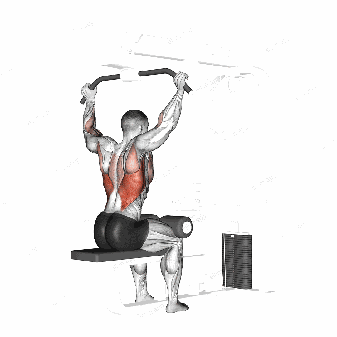 Cable Rear Pulldown exercise targeting Back and Latissimus Dorsi