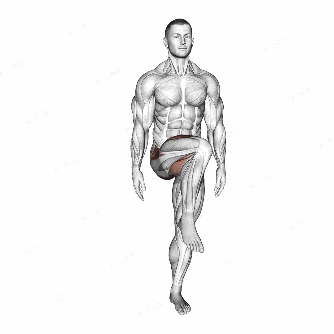 Standing Bent Knee Figure 8 exercise targeting Hips and Adductor Brevis