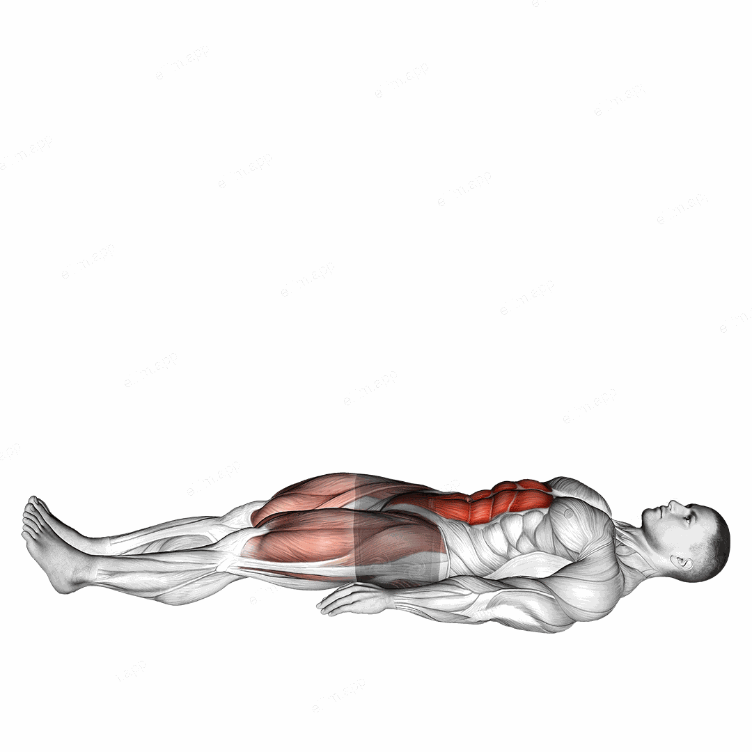 Lying Leg Raise exercise targeting Waist and Rectus Abdominis