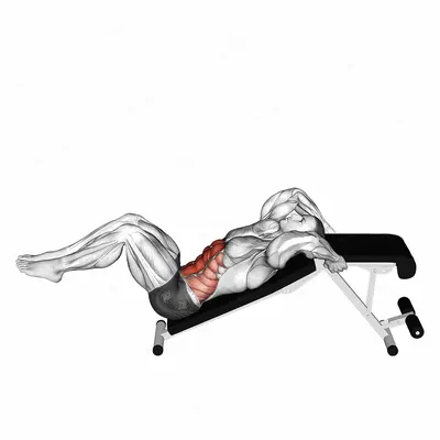 Decline Bent Leg Reverse Crunch exercise targeting Waist