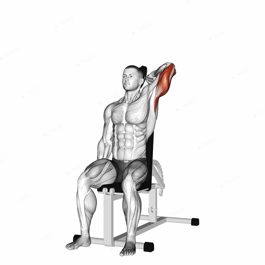 Dumbbell Seated Reverse Grip One Arm Overhead Tricep Extension exercise targeting Upper Arms