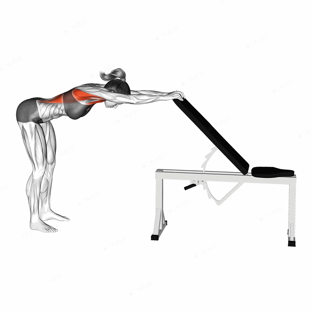 Back Pec Stretch exercise targeting Back and Latissimus Dorsi