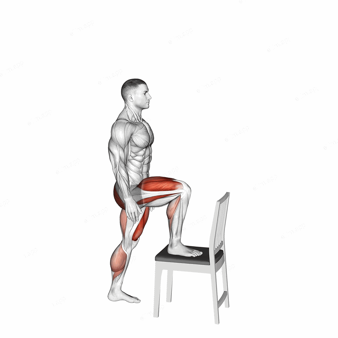 Step up on Chair exercise targeting Hips and Thighs
