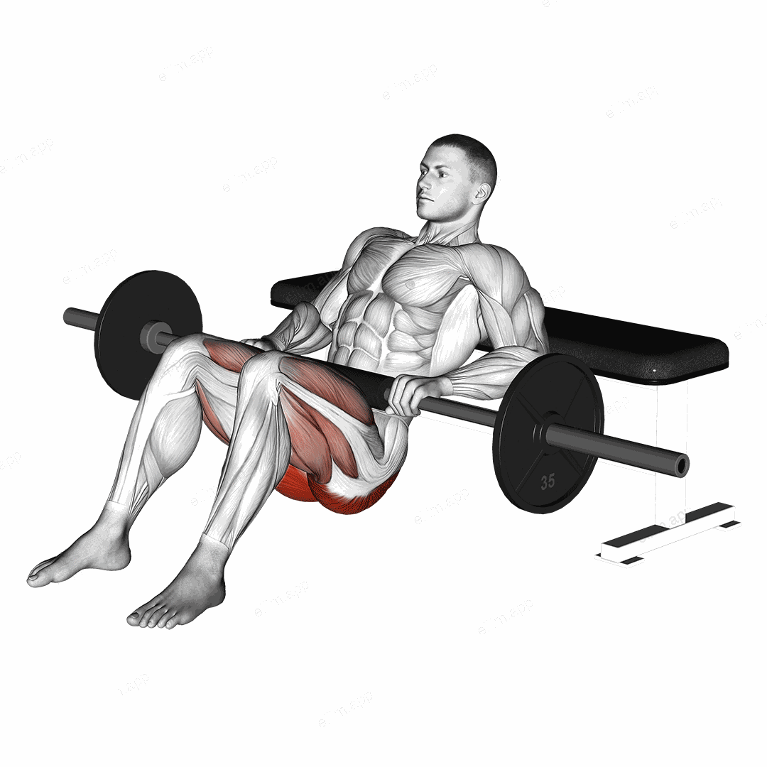 Barbell Hip Thrust exercise targeting Hips and Gluteus Maximus