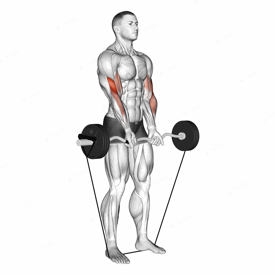 Band EZ Barbell Close grip Curl exercise targeting Upper Arms