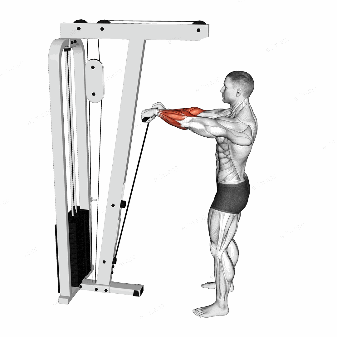 Cable Standing Wrist Roll exercise targeting Forearms