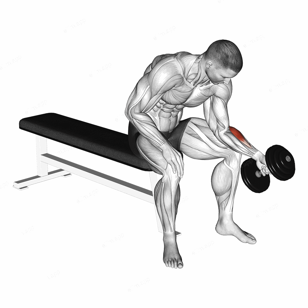 Dumbbell One Arm Seated Neutral Wrist Curl exercise targeting Forearms and Wrist Extensors