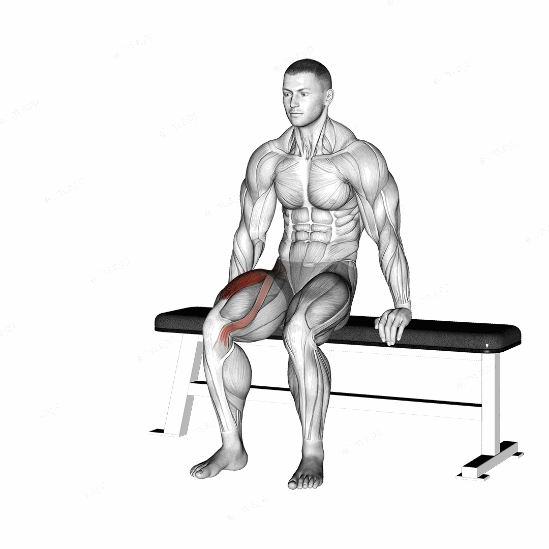 Chair Leg Extended Stretch exercise targeting Thighs