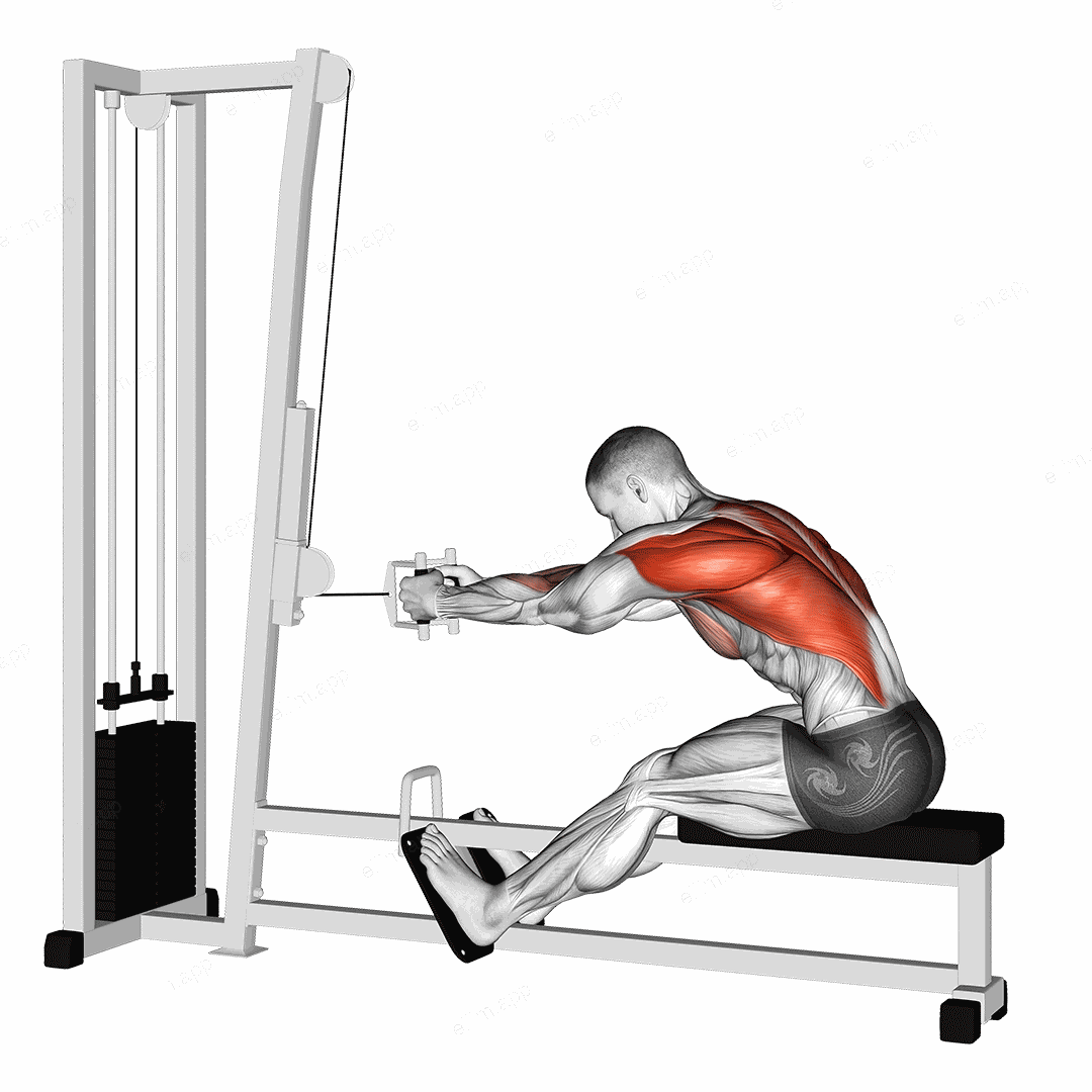 Cable seated row exercise targeting Back and Infraspinatus
