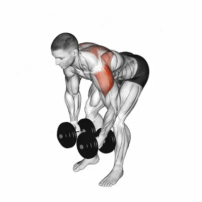 Dumbbell Rear Lateral Raise exercise targeting Shoulders and Deltoid Posterior
