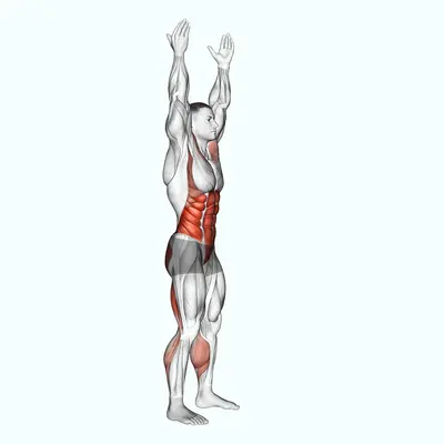 Arms Apart Circular Toe Touch exercise targeting Hips and Waist