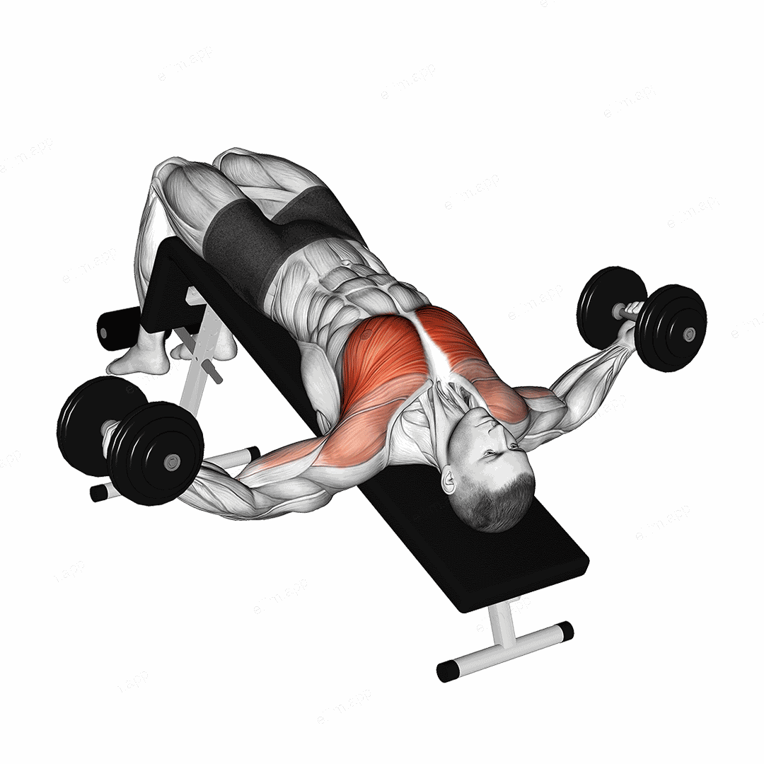 Dumbbell Decline Fly exercise targeting Chest and Pectoralis Major Sternal Head
