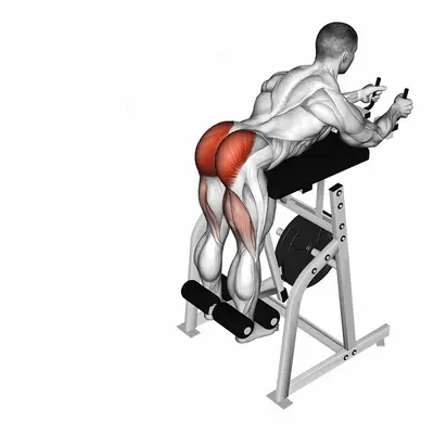 Lever Reverse Hyperextension (plate loaded) exercise targeting Hips and Gluteus Maximus