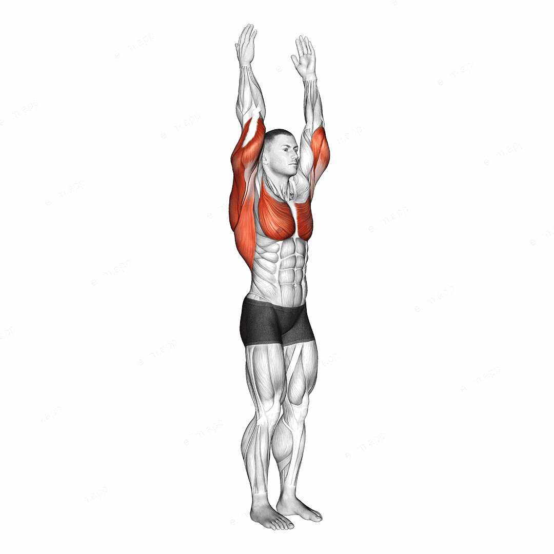 Shoulder - Extension exercise targeting Shoulders