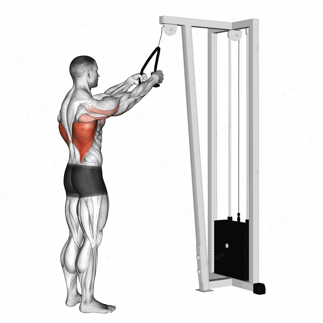 Cable Straight Arm Pulldown (with rope) exercise targeting Back and Latissimus Dorsi