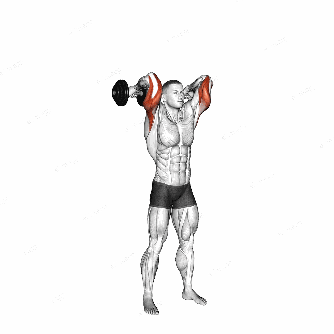 Dumbbell Standing French Press exercise targeting Upper Arms