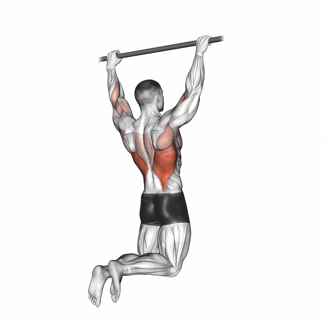 Rear Pull up exercise targeting Back