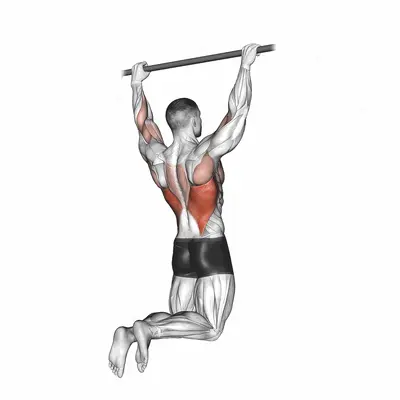 Rear Pull up exercise targeting Back