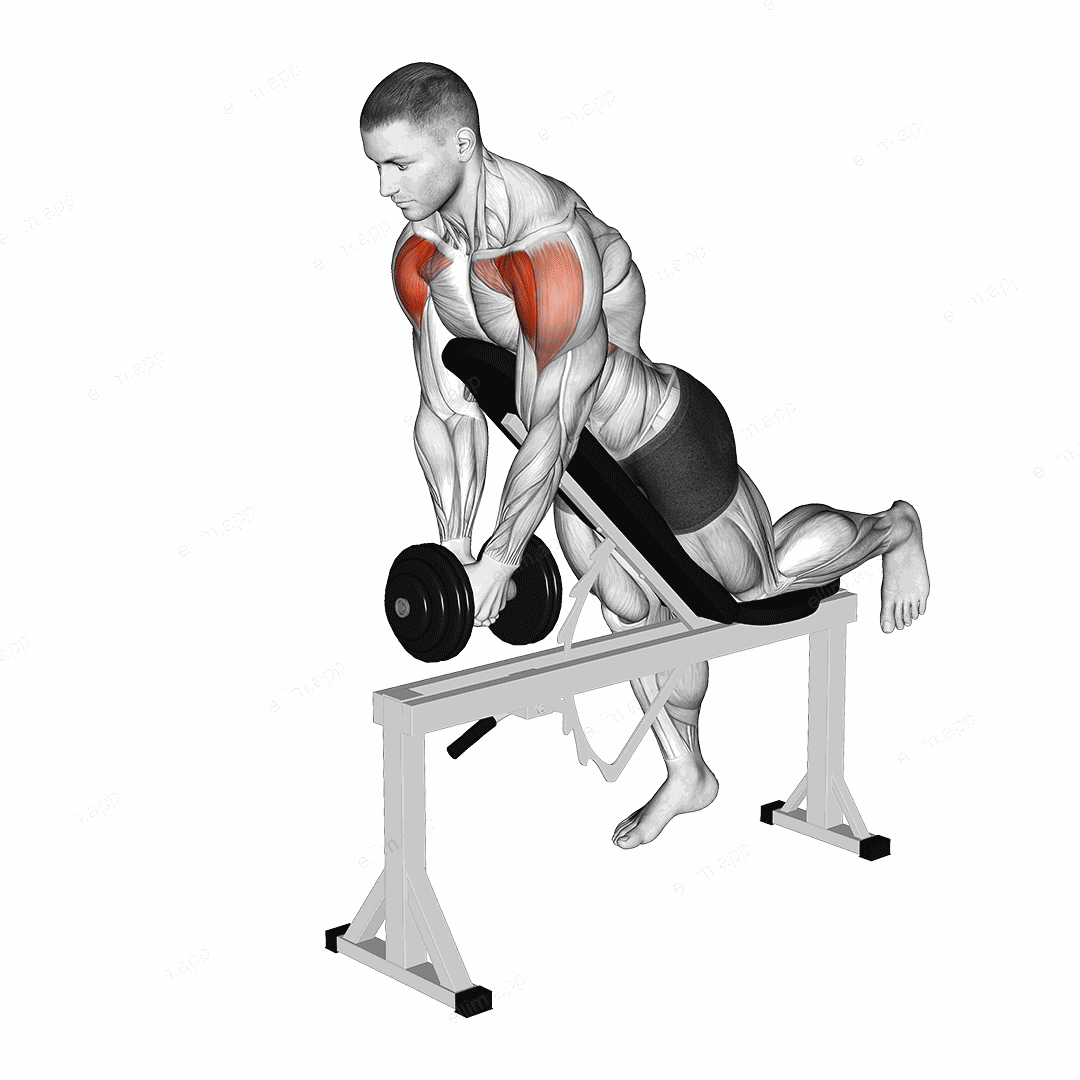Dumbbell Incline Front Raise with Chest Support exercise targeting Shoulders and Deltoid Anterior