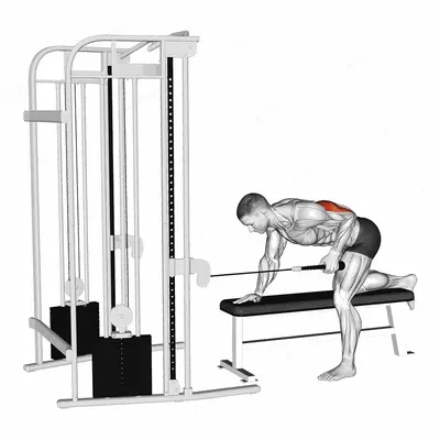 Cable Bent Over Single Arm Neutral Grip Kickback with Rope Attachment exercise targeting Upper Arms