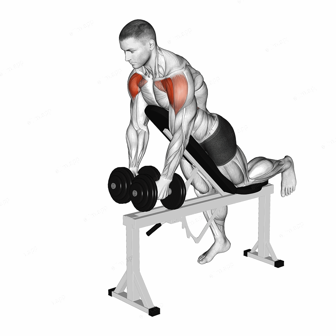 Dumbbell Incline Two Front Raise with Chest Support exercise targeting Shoulders and Deltoid Anterior