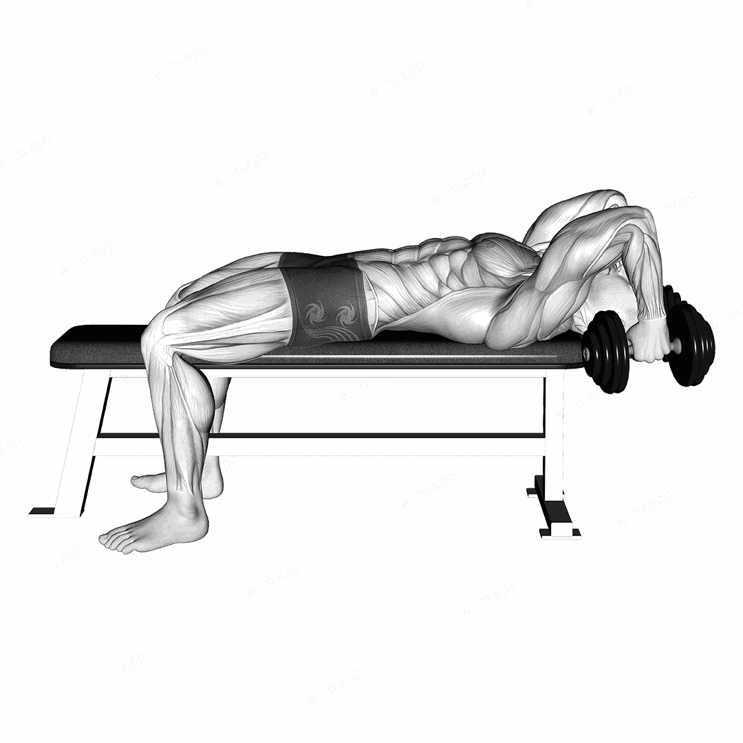 Dumbbell Bent Arm Pullover Hold exercise targeting Chest