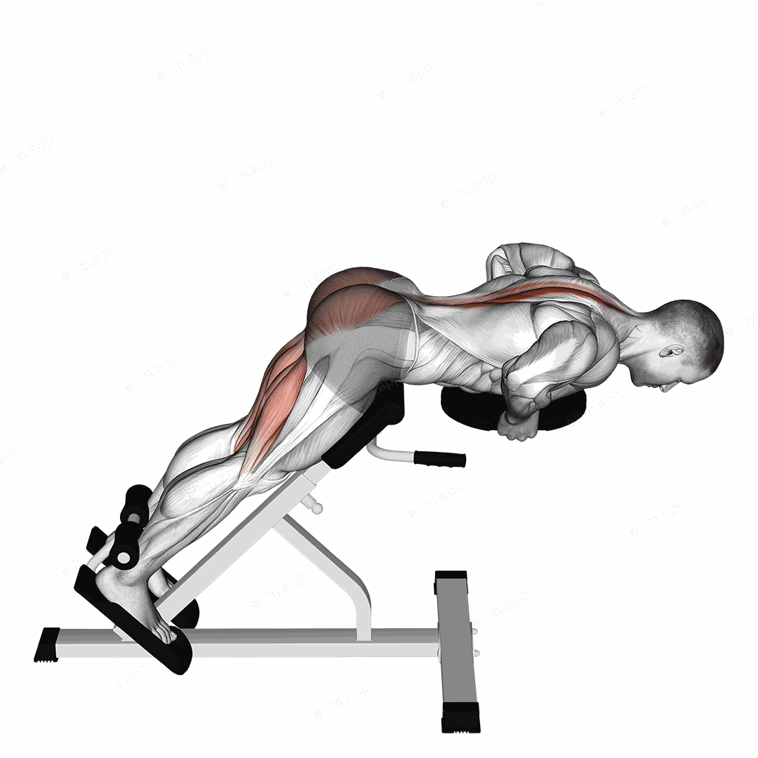 Plate Hyperextension exercise targeting Hips and Erector Spinae