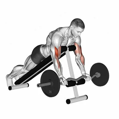 EZ Barbell Spider Curl exercise targeting Upper Arms and Biceps Brachii