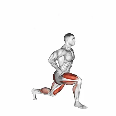 Jump Split with Hands on Hip exercise targeting Plyometrics