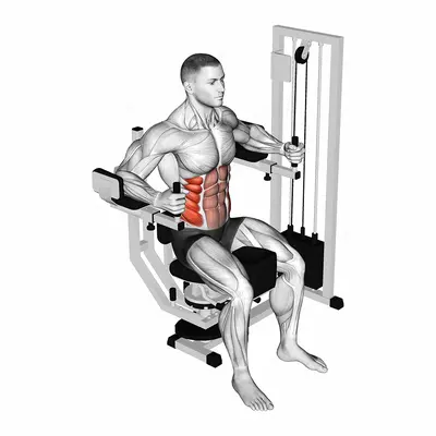 Lever Trunk Rotation exercise targeting Waist and Obliques