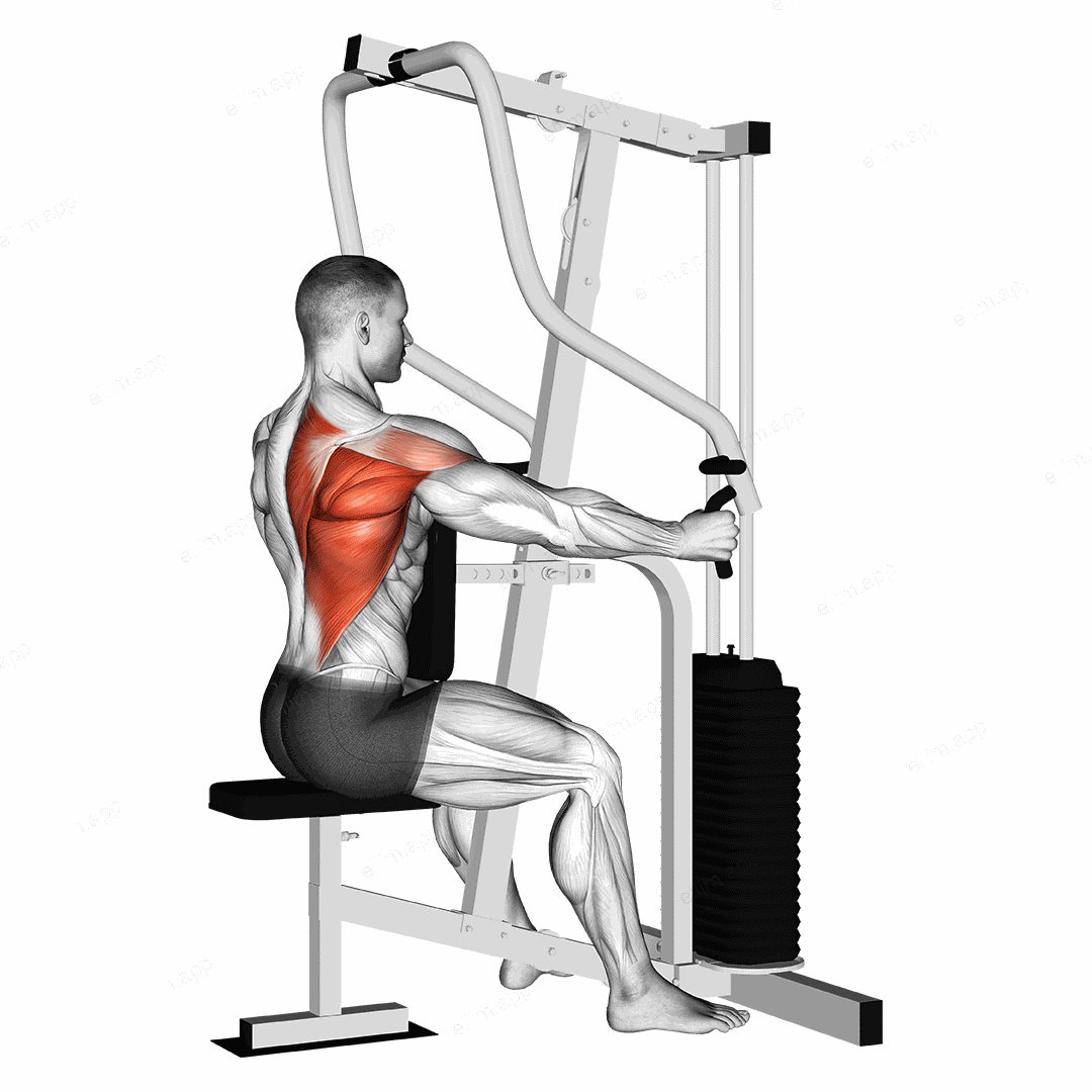 Lever One Arm Seated Row (Seated row machine) exercise targeting Back and Infraspinatus
