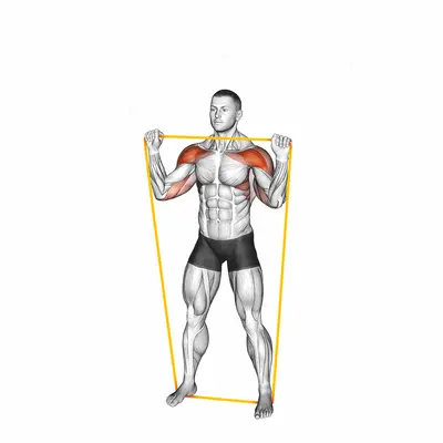 Resistance Band Overhead Shoulder Press exercise targeting Shoulders and Deltoid Anterior