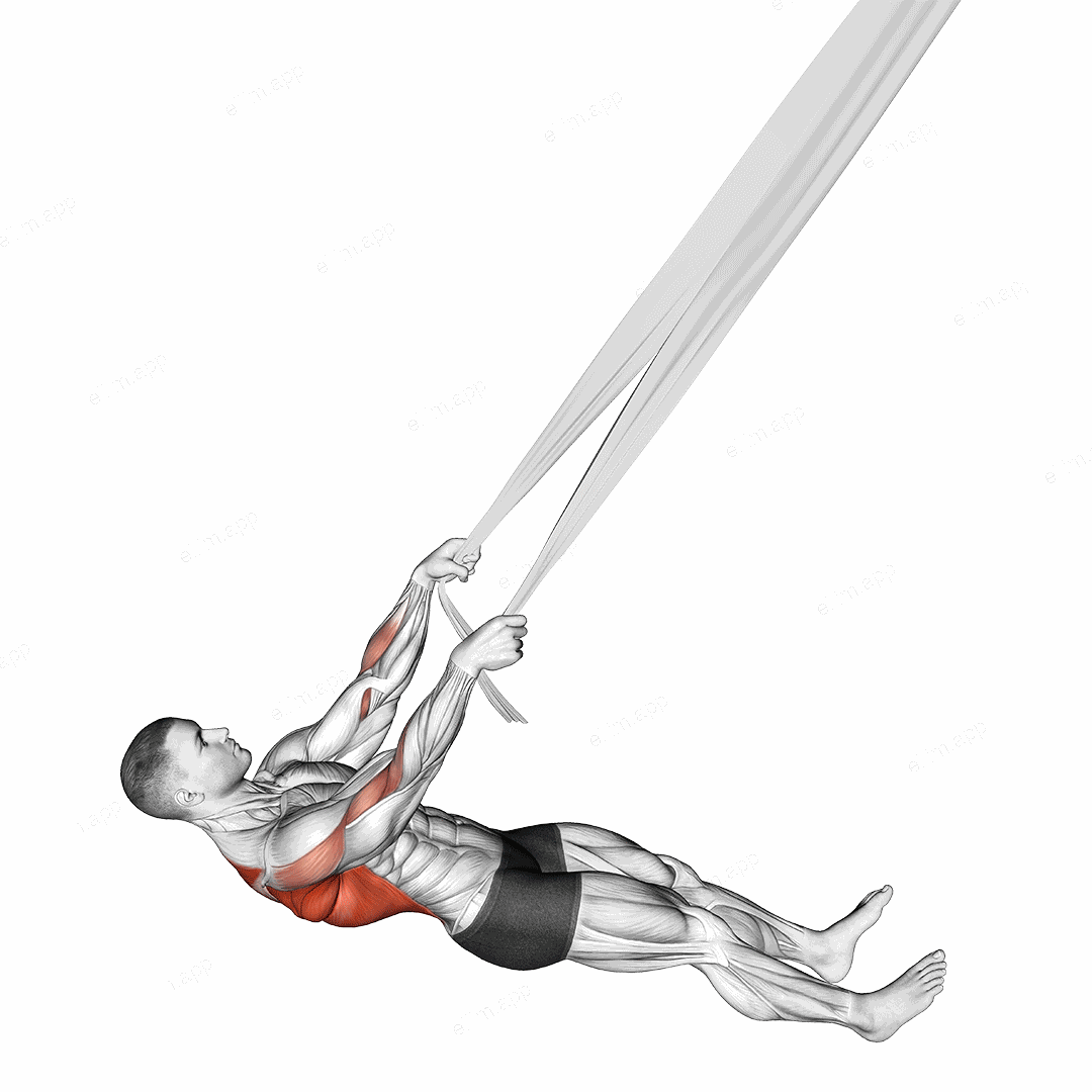 Inverted Row with Bed Sheet exercise targeting Back and Infraspinatus
