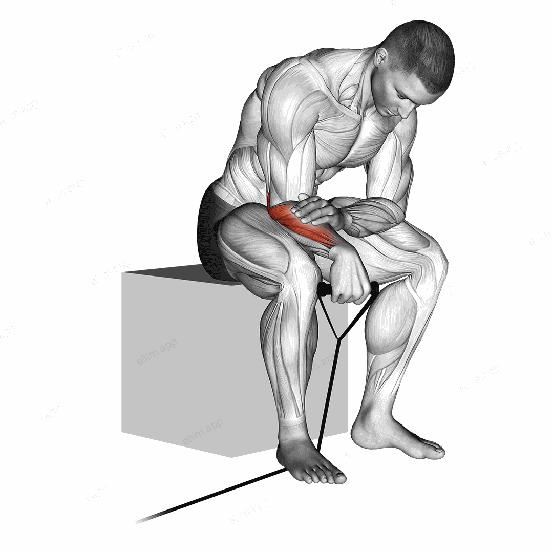 Band reverse wrist curl exercise targeting Forearms and Wrist Extensors